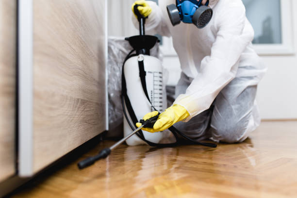 Pest Prevention Services in Heflin, AL