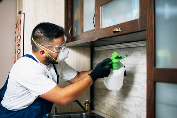 Best Affordable Pest Control Services  in Heflin, AL