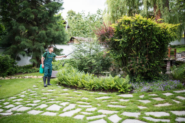Best Residential Pest Control  in Heflin, AL