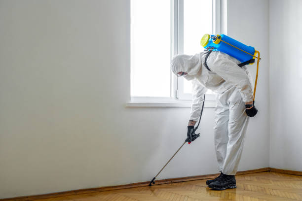 Best Flea Control Services  in Heflin, AL