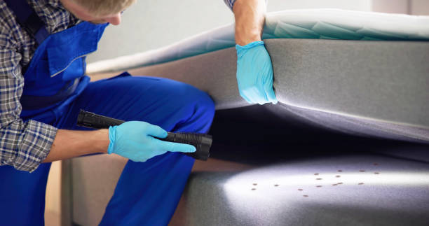 Best Rat Extermination Near Me  in Heflin, AL