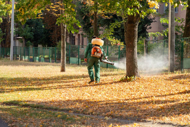 Best Best Pest Control Near Me  in Heflin, AL