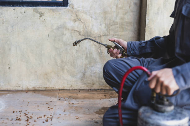 Best Mosquito Control Services  in Heflin, AL